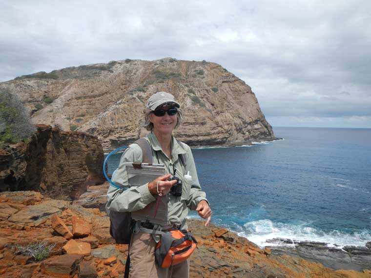 Woman standing on stony cliff with clipboard with rocky sea cliffs in background